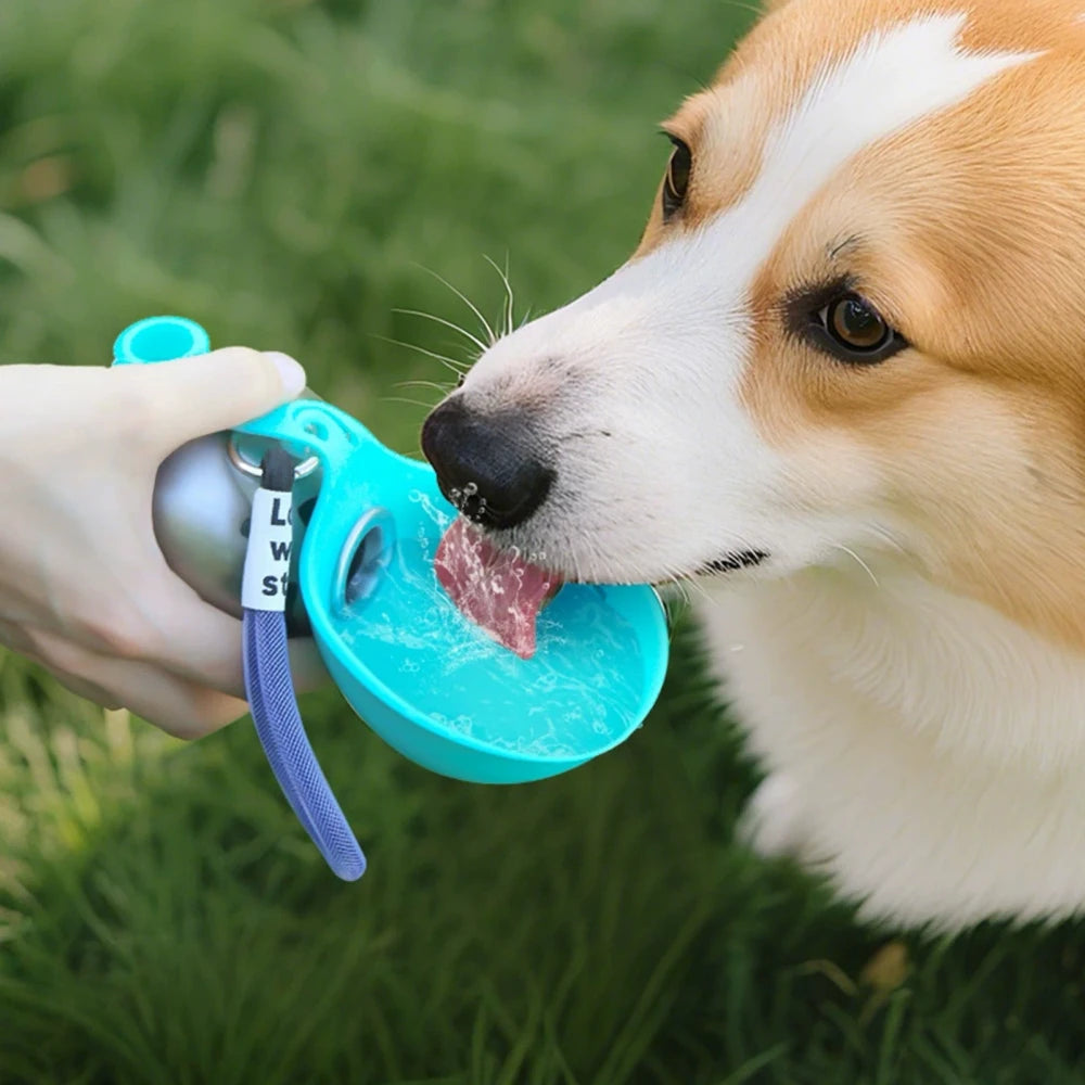 Botella de Agua Portátil para Perros